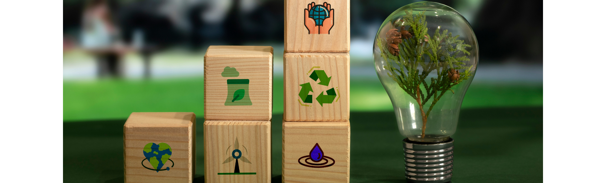 Cadeia de suprimentos Verde – sustentável: Qual a importância para seu negócio!