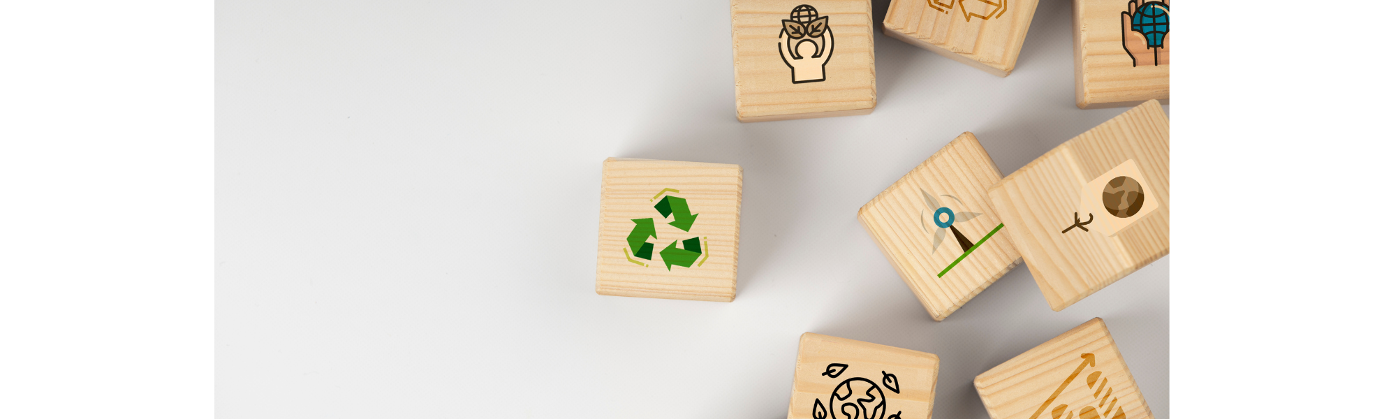 Bobinas Térmicas Sustentáveis: A importância da sustentabilidade para as empresas